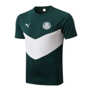 Palmeiras Training Shirt 2022/23